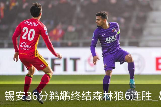 锡安36分鹈鹕终结森林狼6连胜 雄鹿险胜公牛